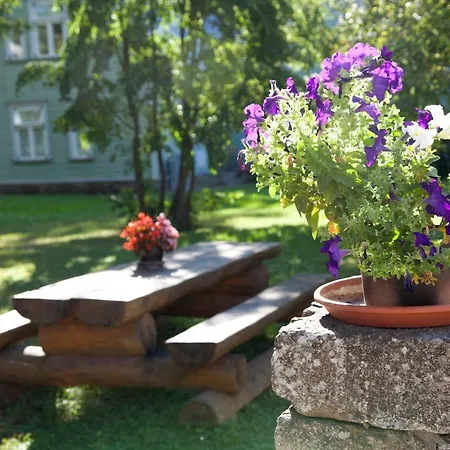 Pargi 5 Курессааре